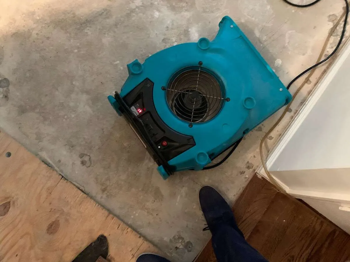 Air mover drying subfloor during Leak Detection & Repair in Dundee